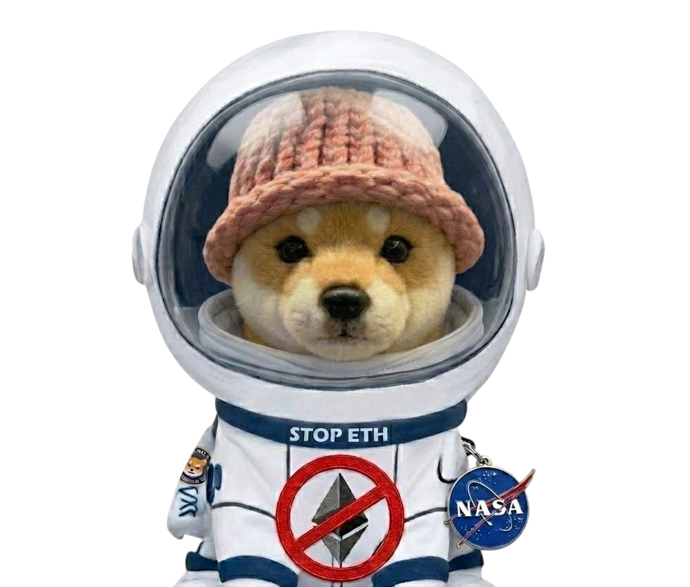 Space Dog Wif Hat